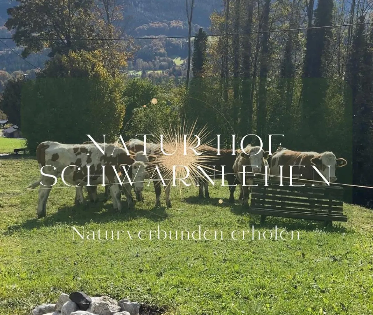 Natur Hof Schwarnlehen Berchtesgaden Allemagne